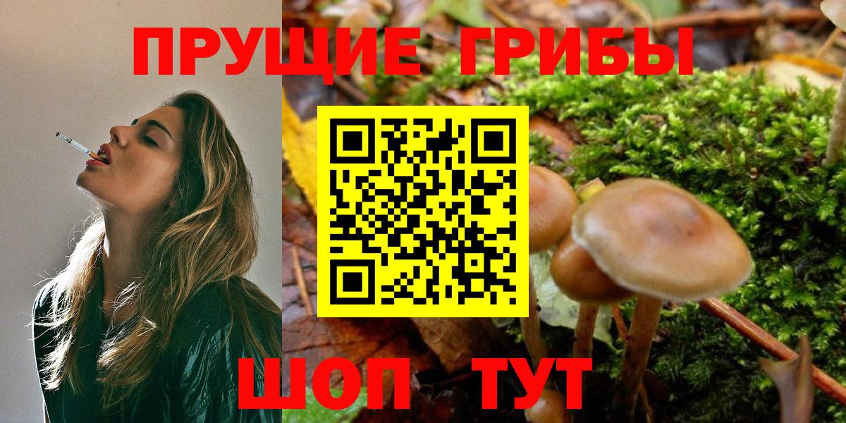 Псилоцибиновые грибы мицелий  Вход с VPN  Тавда  Псилоцибиновые грибы Psilocybe 