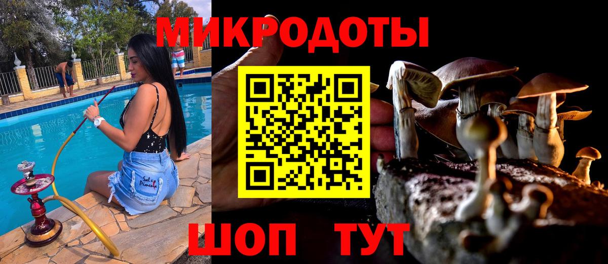 Псилоцибиновые грибы Magic Shrooms Тавда